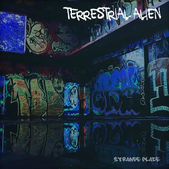 Strange Place by Terrestrial Alien