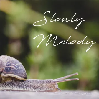 Slowly Melody by Denis Vuk