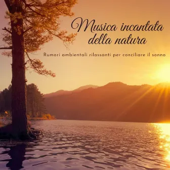 Musica incantata della natura: Rumori ambientali rilassanti per conciliare il sonno by Ninne Nanne 101