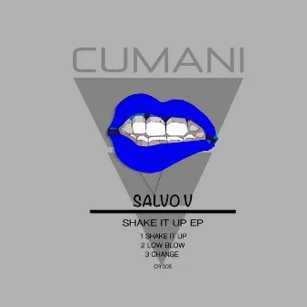 Shake It Up by Salvo V