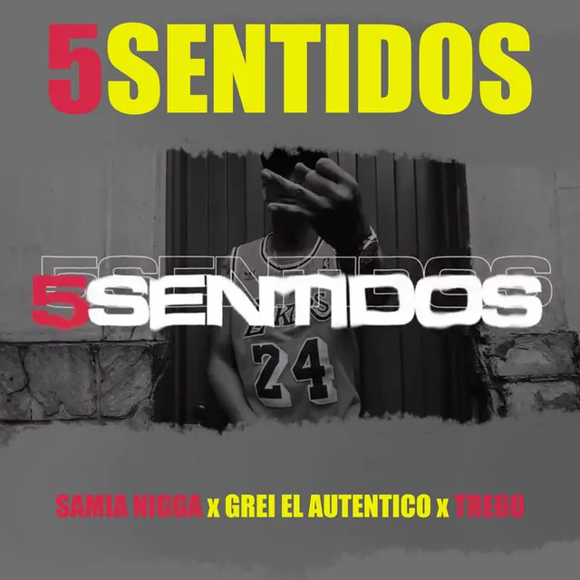 5 Sentidos