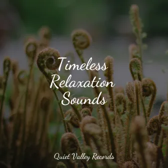 Timeless Relaxation Sounds by Zen