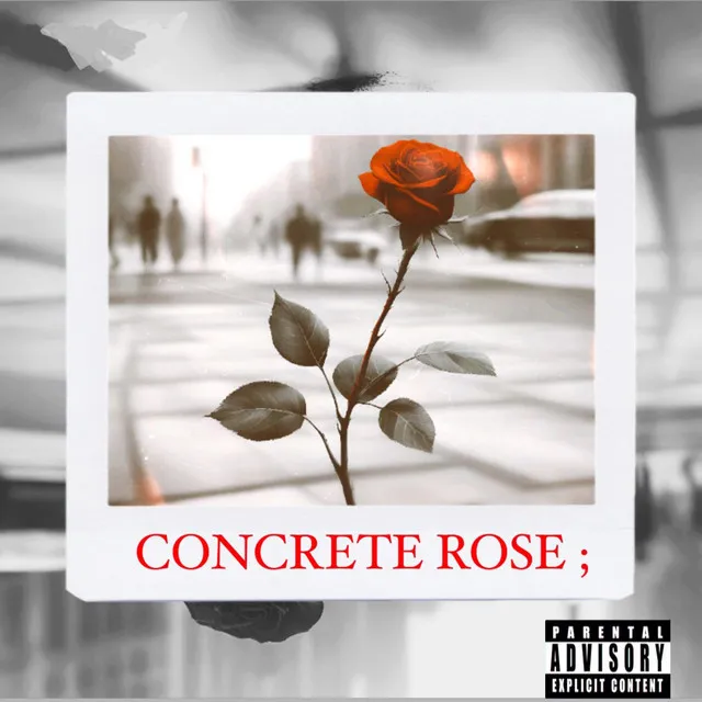 CONCRETE ROSE