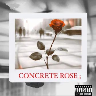 CONCRETE ROSE by Sauce Kidd