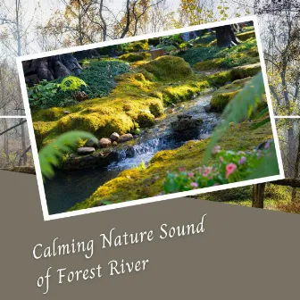 Calming Nature Sound of Forest River - 3 Hours by The Baby Music Snoozers