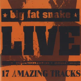 Live (17 Amazing Tracks) by Big Fat Snake