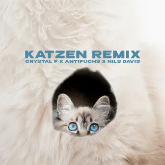 Katzen (Remix) by Nils Davis