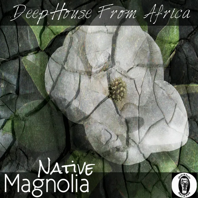 Magnolia (Deep House from Africa)