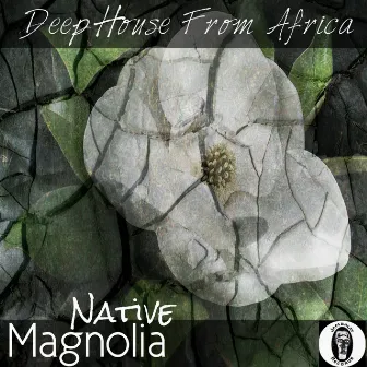 Magnolia (Deep House from Africa) by Native