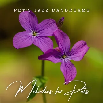 Jazz Paws & Lounge Whiskers: Melodies for Pets by Relaxing Instrumental Jazz and Coffee