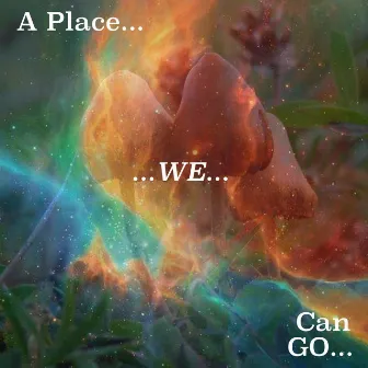 A Place We Can Go by Relit