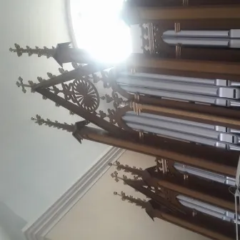 Pipe Organ Music 5: Pieces of V. Petrali, L. J. A. Lefebure-Wely, Th. Dubois, Th. Salomé, Ch. M. Widor played on the historical pipe organs of Lithuania by Justinas Šapola