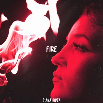 Fire by Diana Bidea