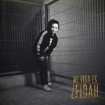 Mi Vida Es by Zeidah