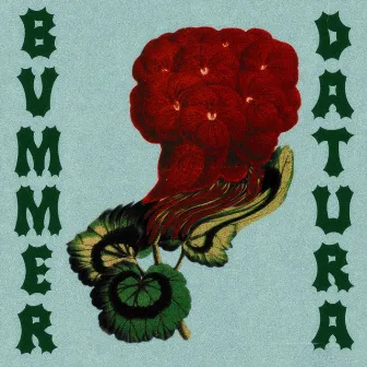 DATURA by Bvmmer