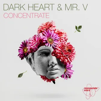 Concentrate by Mr. V