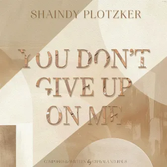 You Don't Give Up On Me by Shaindy Plotzker