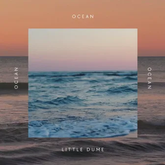 Ocean by Little Dume