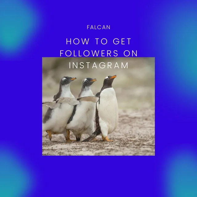 How to Get Followers on Instagram