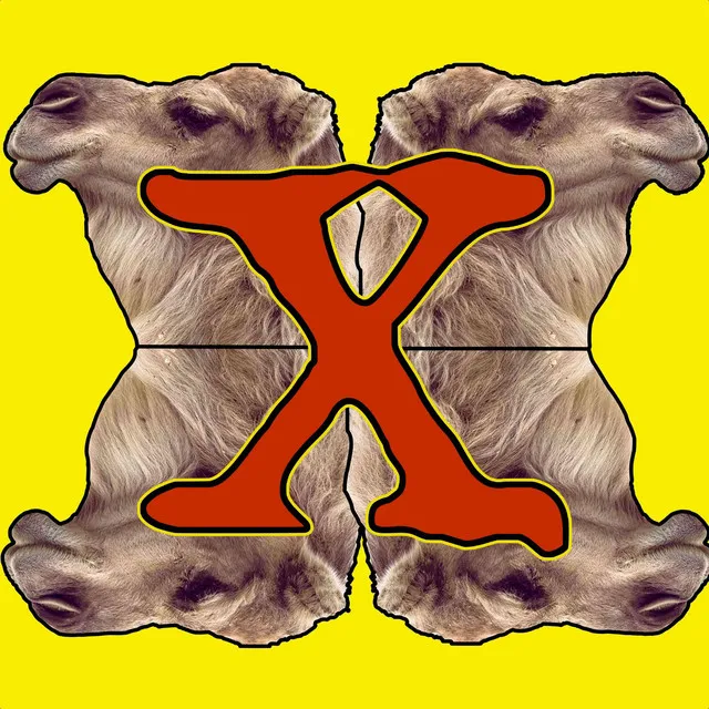 The X Camel