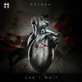 Can't Wait by Netrak