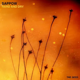 Hard and Dry by Sappow