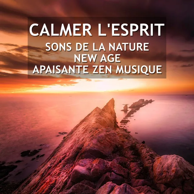 Calmer l'esprit: Sons de la nature, New Age, Apaisante zen musique (Méditation shiné - Atteindre des états de sérénité)