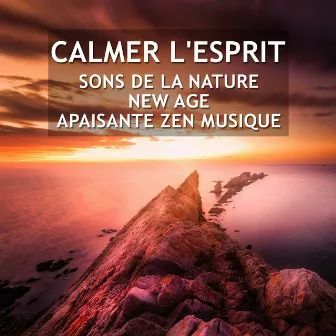 Calmer l'esprit: Sons de la nature, New Age, Apaisante zen musique (Méditation shiné - Atteindre des états de sérénité) by Musique Thérapeutique Naturelles