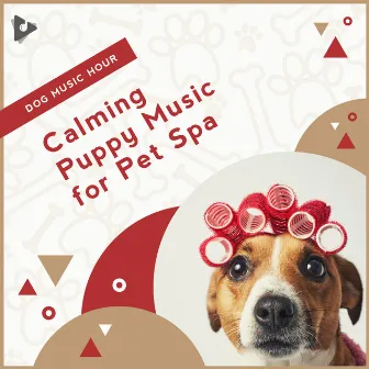 Calming Puppy Music for Pet Spa by Music for Puppies