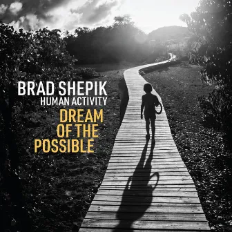 Human Activity: Dream of the Possible by Brad Shepik