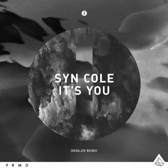 It's You (Broiler Remix Radio Edit) by Syn Cole