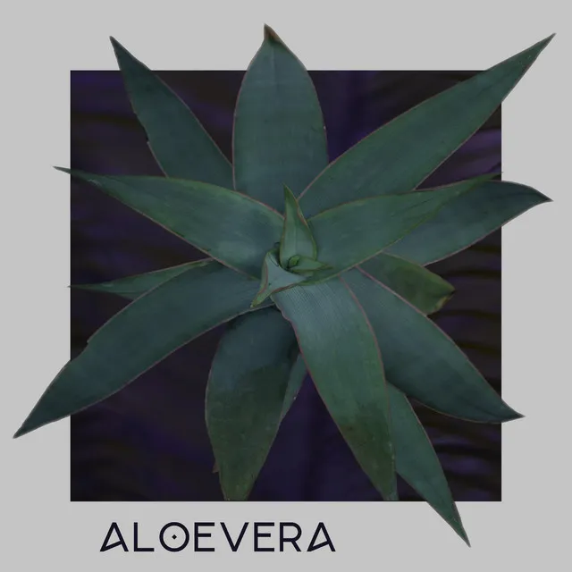 Aloevera