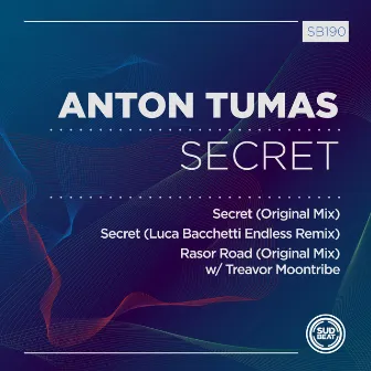 Secret by Anton Tumas