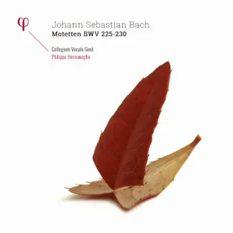 Bach: Motetten, BWV 225-230 by Philippe Herreweghe