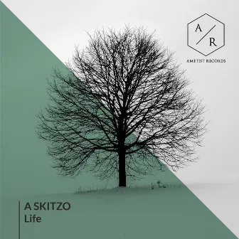 Life by A Skitzo