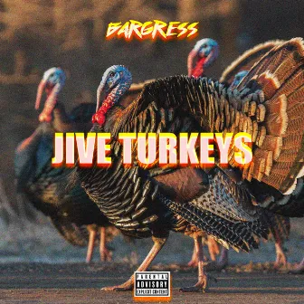 Jive Turkeys by Bargress