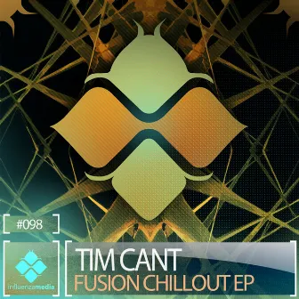 Fusion Chillout EP by Tim Cant