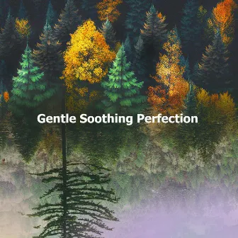 Gentle Soothing Perfection by Lullabies Soothing White Noise