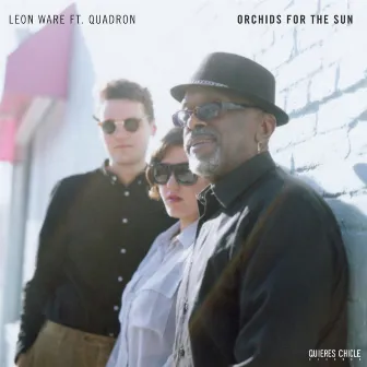 Orchids for the Sun / Hold Tight by Leon Ware