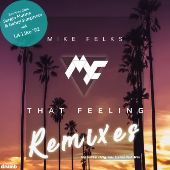 That Feeling (Remixes) by Mike Felks