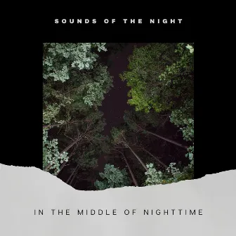 In the Middle of Nighttime by Sounds of the Night