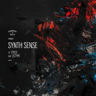 Cycle / Ectype by Synth Sense