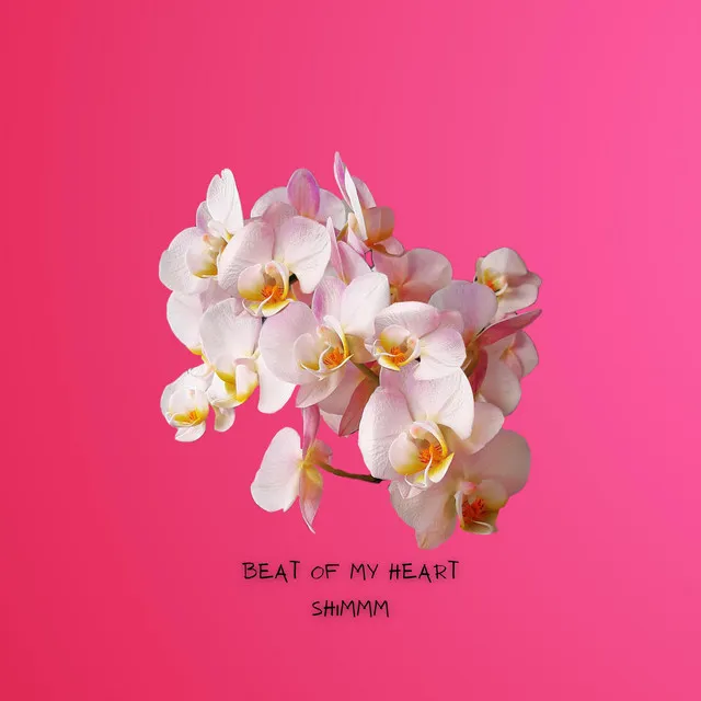 Beat Of My Heart