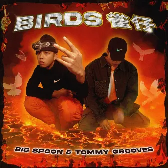 Birds 雀仔 by Tommy Grooves