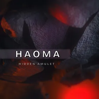 Hidden Amulet by Haoma