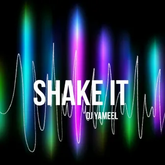 Shake It by DJ Yameel