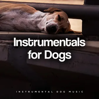 Instrumentals for Dogs by Instrumental Dog Music