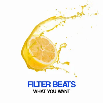 What You Want by Filter Beats