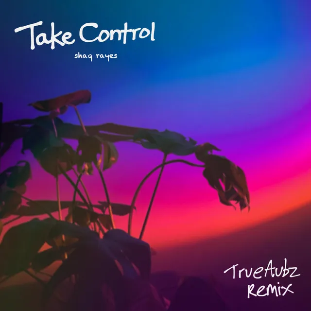 Take Control - Remix