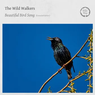 Beautiful Bird Song (Extended Edition) by The Wild Walkers